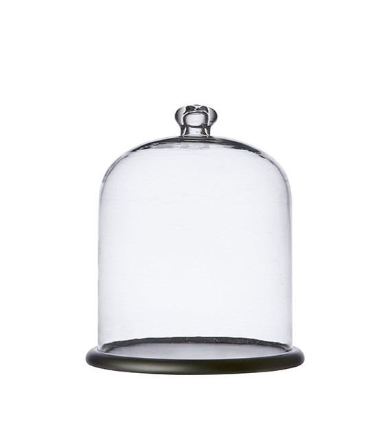 Large glass bell jar with wooden stand ARLO - H34 cm