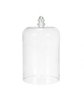 Glass cloche with handle