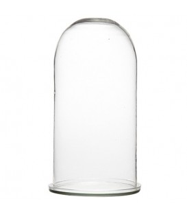 Cloche en verre Rio