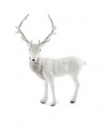 White Deer stands tall