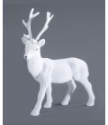 white deer