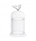 Cloche en verre MR OISEAU