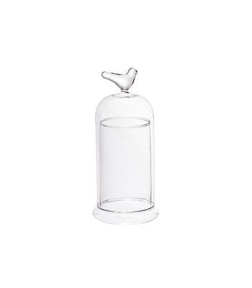 Cloche en verre MR OISEAU