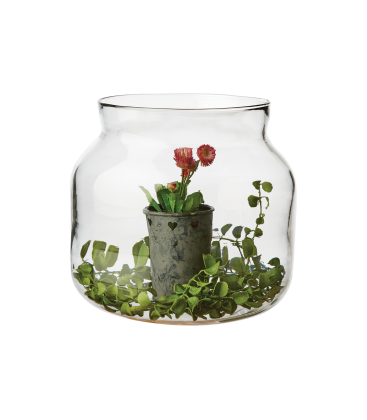 Vase verre transparent