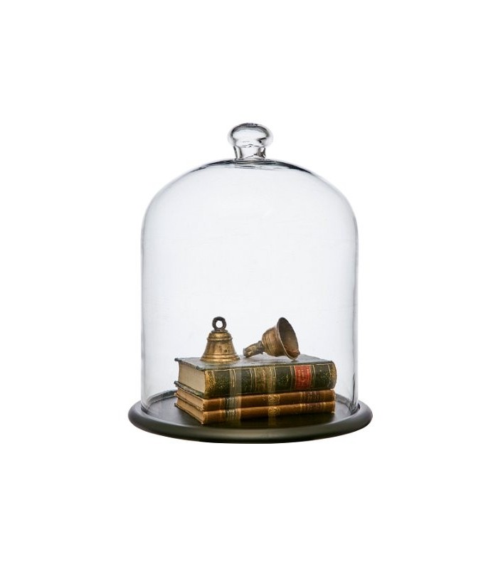 Cloche en verre support bois taille moyenne