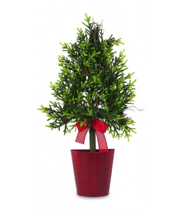 Sapin dans un pot rouge