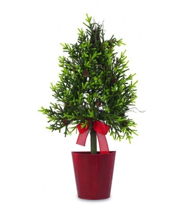 Sapin dans un pot rouge