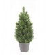 Mini Christmas tree in pot H24 cm