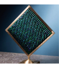 Elytra green beetle wings in square brass frame