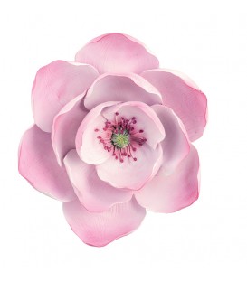Fleur de magnolia rose et blanc 23 cm - spécial mariage