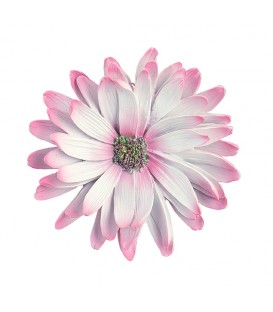 Fleur de gerbera 16cm - Decoration de table de mariage