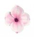 Fleur de magnolia rose et blanc 23 cm - spécial mariage