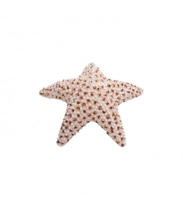 Bougie Etoile de Mer STAR - lot de 6 pièces