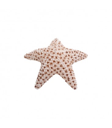 Bougie Etoile de Mer STAR - lot de 6 pièces