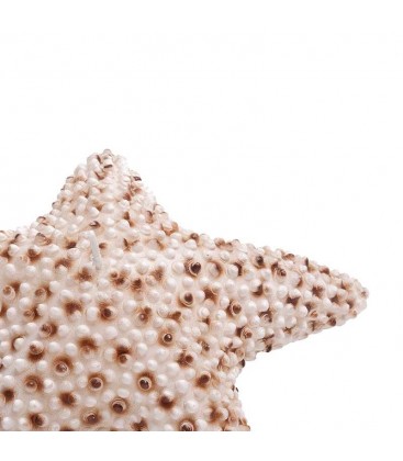 Bougie Etoile de Mer STAR - lot de 6 pièces