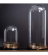 Glass Capsule Bell
