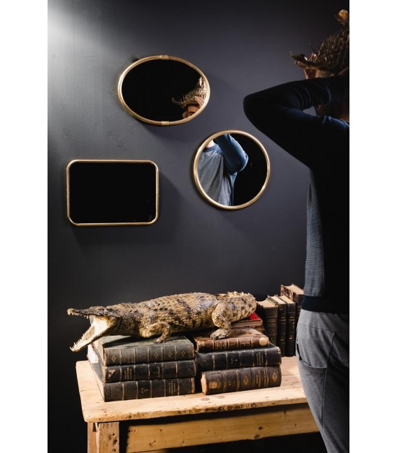 Miroir rond lezard