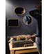 Miroir rond lezard