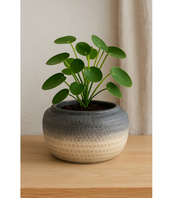Bougie exterieur dans pot