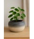 Bougie exterieur dans pot