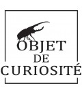 Objet de curiosité